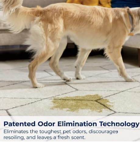 Woo-lite Carpet and Upholstery Foam Cleaner with Built-in Brush, Fabrics, Pet Odors Triple Action Stainlift Technology for Stairs
