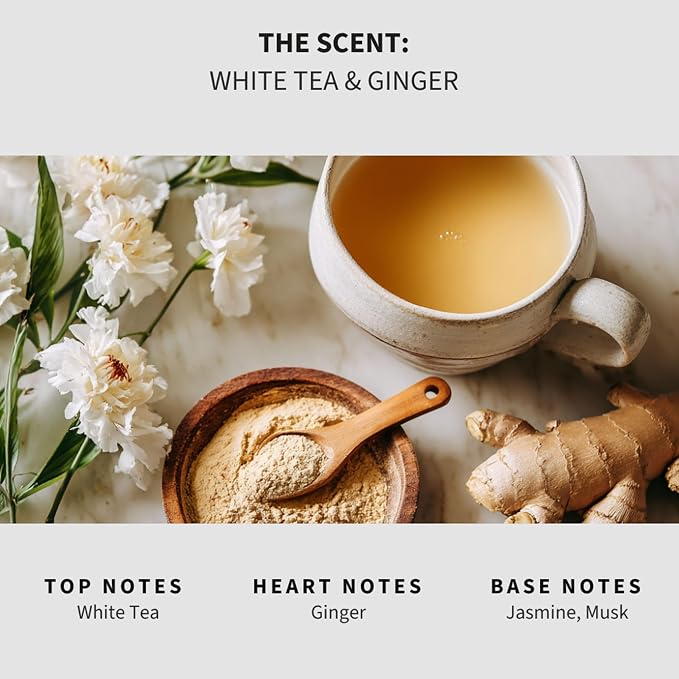 Lapew White Tea & Ginger Scented Mop Soap - Luxury Floor Cleaner Concentrate for Mopping Tile, Laminate, Vinyl & Hardwood | Streak-Free, Low-Foam | 36 oz