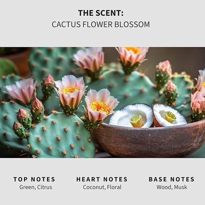 Lapew Cactus Flower Scented Mop Soap - Luxury Floor Cleaner Concentrate for Mopping Tile, Laminate, Vinyl & Hardwood | Streak-Free, Low-Foam | 36 oz
