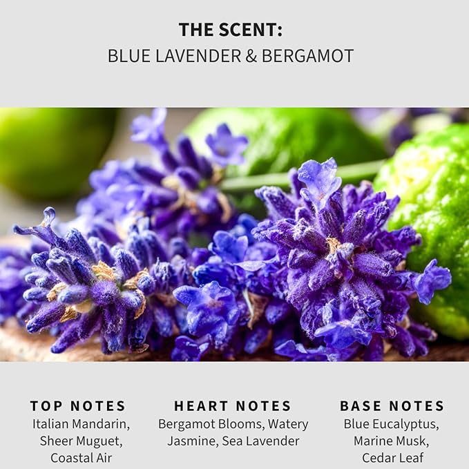 Lapew Blue Lavender & Bergamot Scented Mop Soap - Luxury Floor Cleaner Concentrate for Mopping Tile, Laminate, Vinyl & Hardwood | Streak-Free, Low-Foam | 36 oz