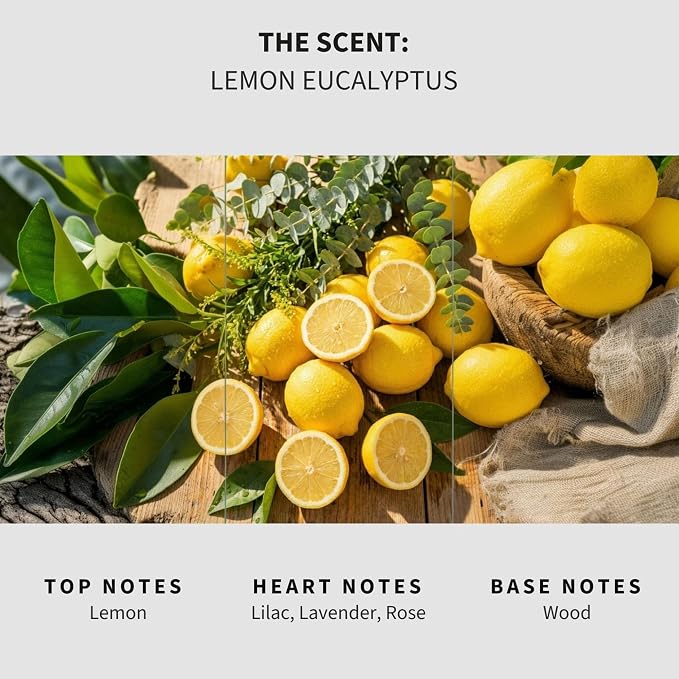 Lapew Lemon & Eucalyptus Scented Mop Soap - Luxury Floor Cleaner Concentrate for Mopping Tile, Laminate, Vinyl & Hardwood | Streak-Free, Low-Foam | 36 oz