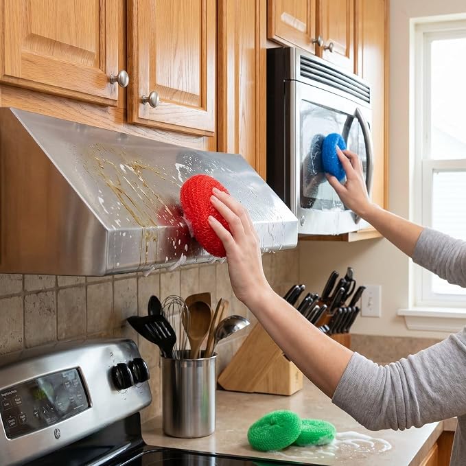 Blulu 15 Pcs Plastic Dish Scrubbers for Dishes Pot Round Nylon Pad, Mesh Scouring Non Scratch Pads (Rainbow Colors)