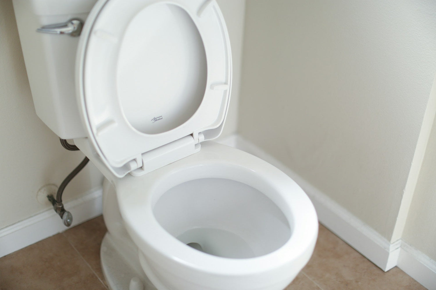 Toilet Bowl Cleaners