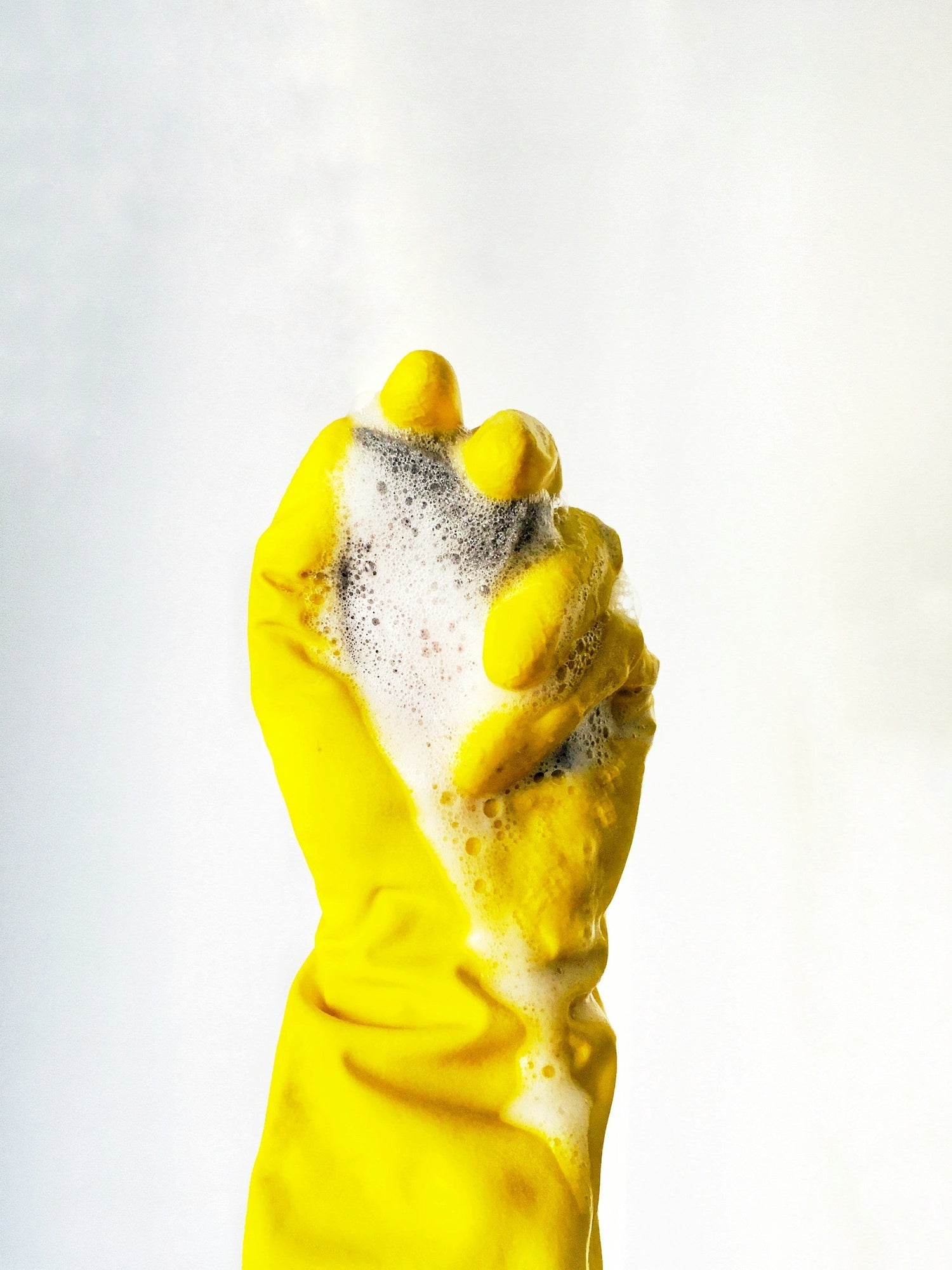Mold & Mildew Removers
