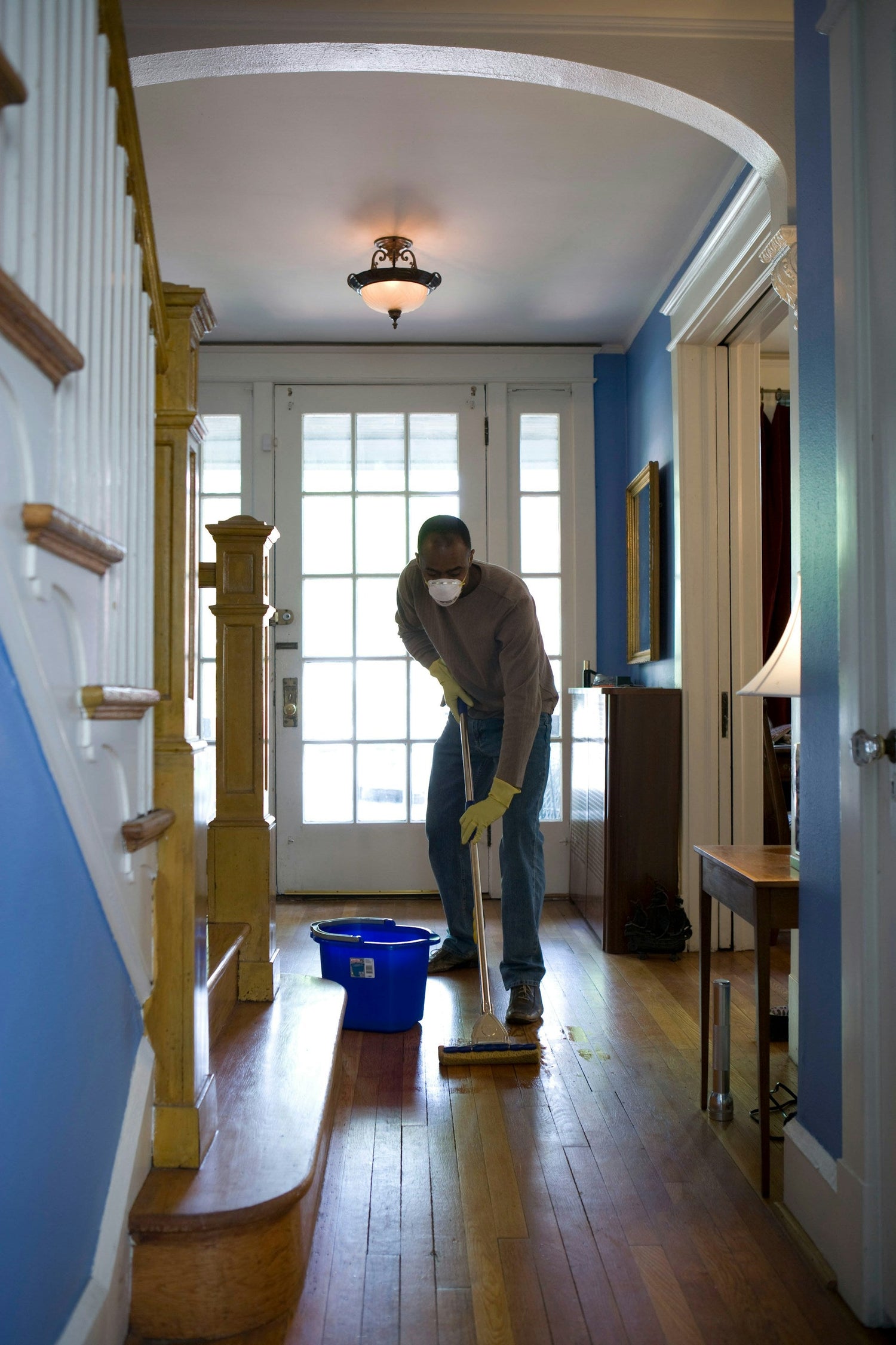 Hardwood Floor Cleaners