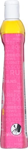 Stardrops The Pink Stuff Miracle Cream Cleaner, Stainless Steel & Multi-Purpose Surfaces, Removes Grease, Grime, Limescale & Soap Scum, Tough on Stains, Gentle on Surfaces, 500ml 16.9oz (Pack of 2)