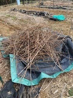 Rocky Mountain Goods Drawstring Tarp - 9’ by 9’ - Extra Strength for Easy Clean Ups - Forms into Bag - Best Leaf Tarp - Useful for Covering Bikes, Furniture, Etc.