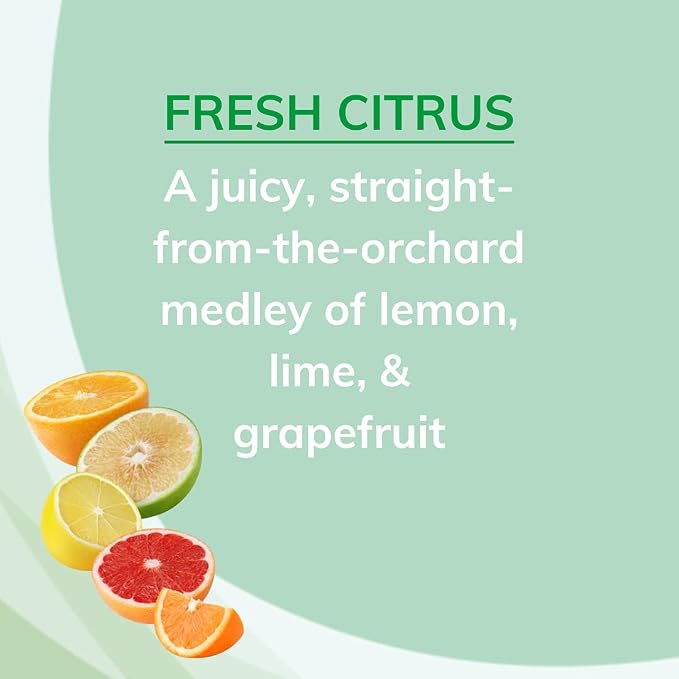 Citrus Magic Odor Absorbing Solid Air Freshener, Fresh Citrus, 8-Ounce, Pack of 1