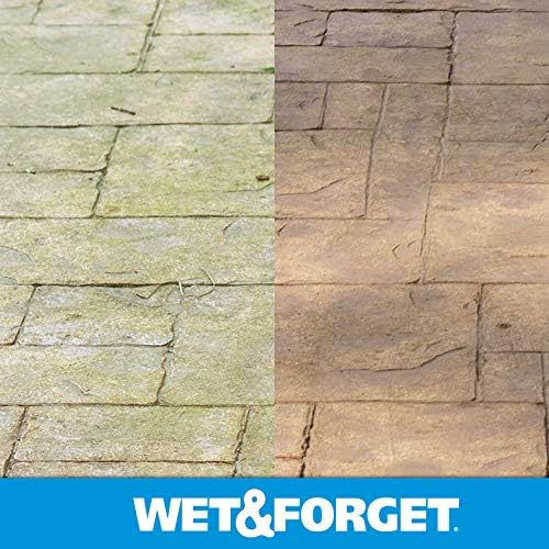 Wet & Forget Moss, Mold, Mildew, & Algae Stain Remover Multi-Surface Outdoor Cleaner Concentrate, Original, 64 Fluid Ounces