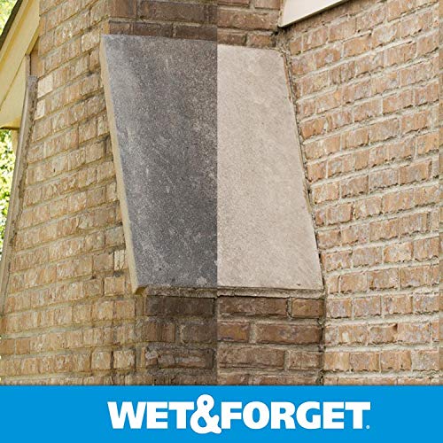 Wet & Forget Outdoor Moss, Mold, Mildew, & Algae Stain Remover Multi-Surface Cleaner, Ready to Use, 64 Ounce