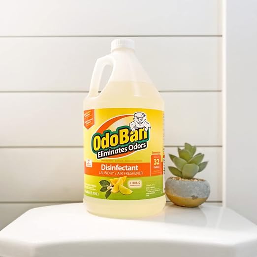 OdoBan Disinfectant Concentrate and Odor Eliminator, 2 Gallons, Citrus Scent