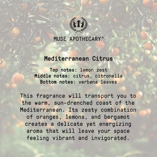 Muse Apothecary Home Ritual Active Odor Eliminator Spray - Furniture Deodorizer Spray & Bathroom Odor Eliminator for Home - Essential Oil Air Freshener - 8oz, Mediterranean Citrus