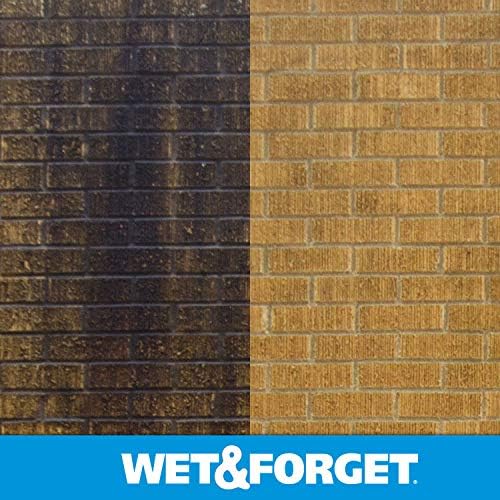 Wet & Forget No Scrub Outdoor Cleaner for Easy Removal of Mold, Mildew and Algae Stains, Bleach-Free Formula, 0.5 Gallon Concentrate - Ships to California Only, 64 Fluid Ounces