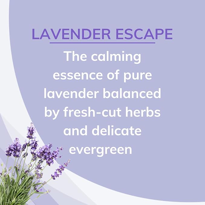 Citrus Magic Odor Absorbing Solid Air Freshener, Lavender Escape, 8 Ounce (Pack of 3)