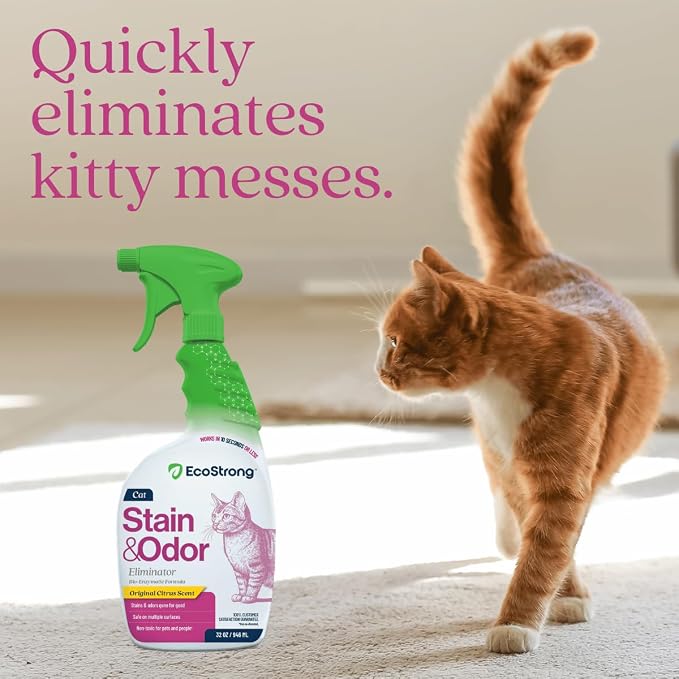 Eco Strong Cat Stain And Odor Remover | Enzyme Urine Odor Neutralizer - Stain Remover for Carpet, Litter Boxes, Bedding, and Laundry [Citrus Scent, 32 oz. Spray]