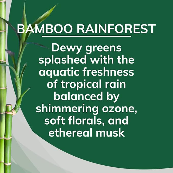 Citrus Magic Solid Air Freshener, Bamboo Rainforest, 8 Ounce (Pack of 12)