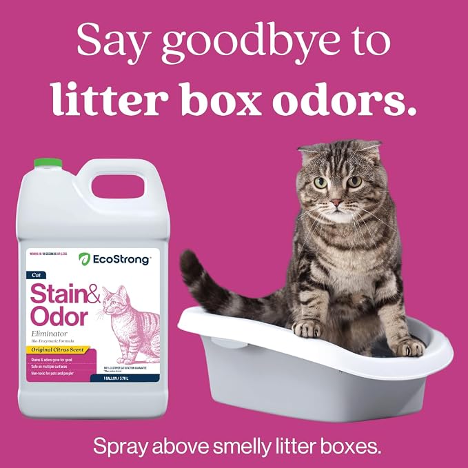Eco Strong Cat Stain And Odor Remover| Enzyme Urine Odor Neutralizer - Stain Remover for Carpet, Litter Boxes, Bedding, and Laundry [Citrus Scent Gallon Value Size]