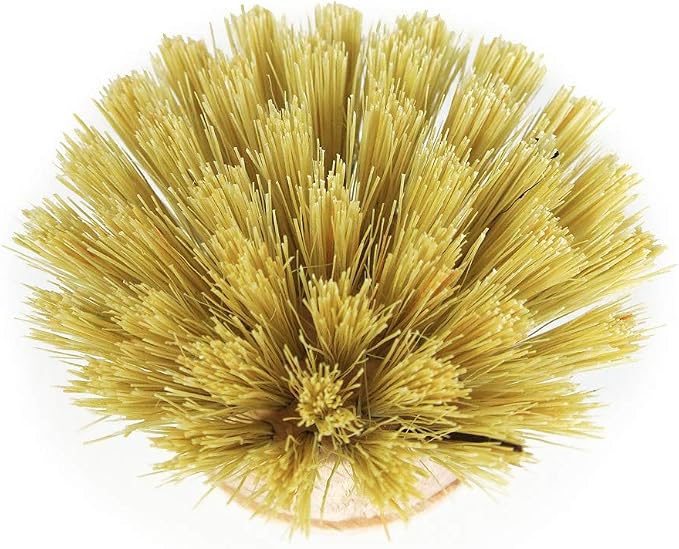 Redecker Dish Brush Replacement Head, Tampico Fiber, 1-1/2 Inch Round – Wooden Replacement Brush Head for Everyday Dishwashing, Made in Germany