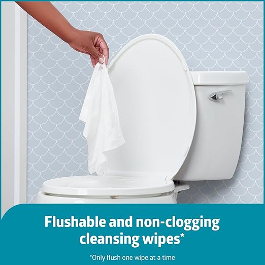 Medline ReadyFlush Flushable Wipes, 540 Wipes (60 Wipes, 9 Tubs), Scented, Biodegradable Flushable Incontinence Wet Wipes for Adults with Aloe, Hypoallergenic and pH-Balanced Personal Cleansing Cloths