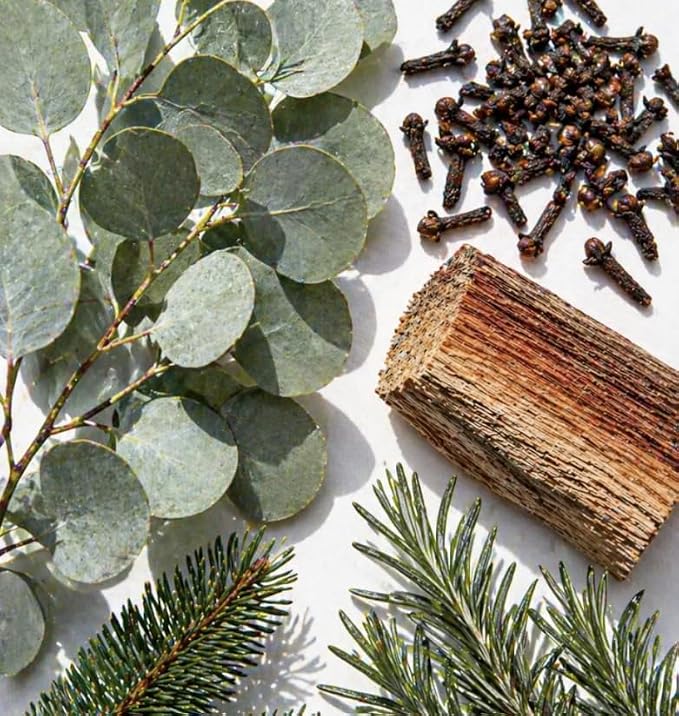 Plant-Based Odor Eliminator Spray – Natural Essential Oil Air Freshener for Home, Bathroom, Fabrics & Pet Areas – 8 oz (Eucalyptus Rain)