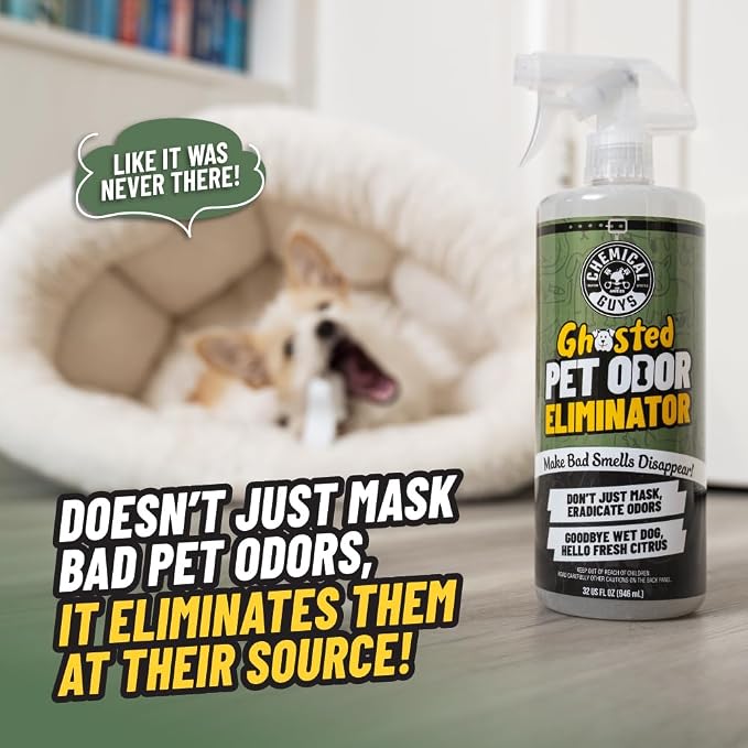 Chemical Guys, Ghosted Pet Odor Neutralizer Car Spray, Fresh Citrus, 16 oz | Citrus spray neutralizes pet odors deep in carpet, upholstery and fabric seats, fresh for cars and home