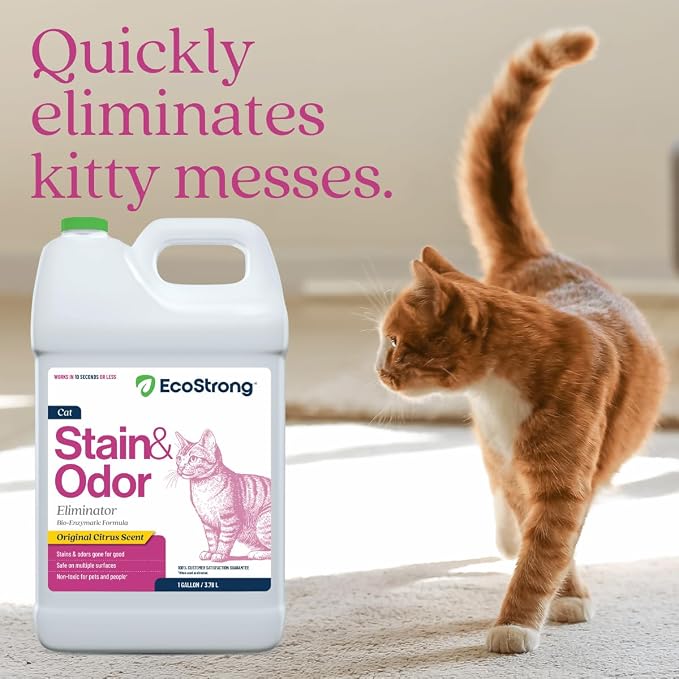 Eco Strong Cat Stain And Odor Remover| Enzyme Urine Odor Neutralizer - Stain Remover for Carpet, Litter Boxes, Bedding, and Laundry [Citrus Scent Gallon Value Size]