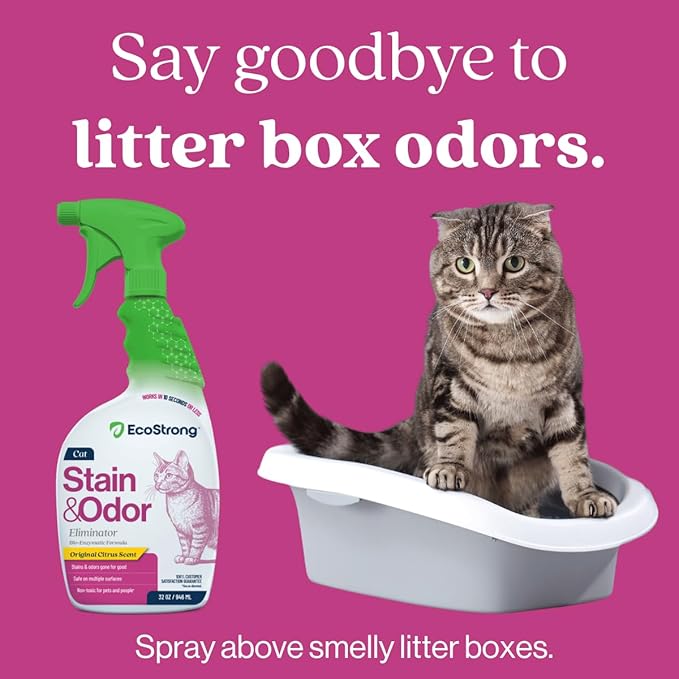 Eco Strong Cat Stain And Odor Remover | Enzyme Urine Odor Neutralizer - Stain Remover for Carpet, Litter Boxes, Bedding, and Laundry [Citrus Scent, 32 oz. Spray]