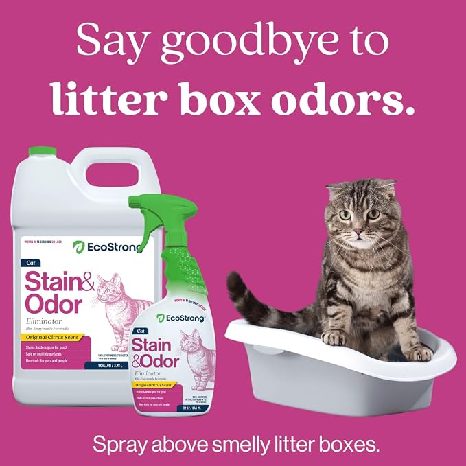 Eco Strong Cat Stain and Odor Remover| Enzyme Urine Odor Neutralizer - Stain Remover for Carpet, Litter Boxes, Bedding, and Laundry [160 Fl Oz Bundle]