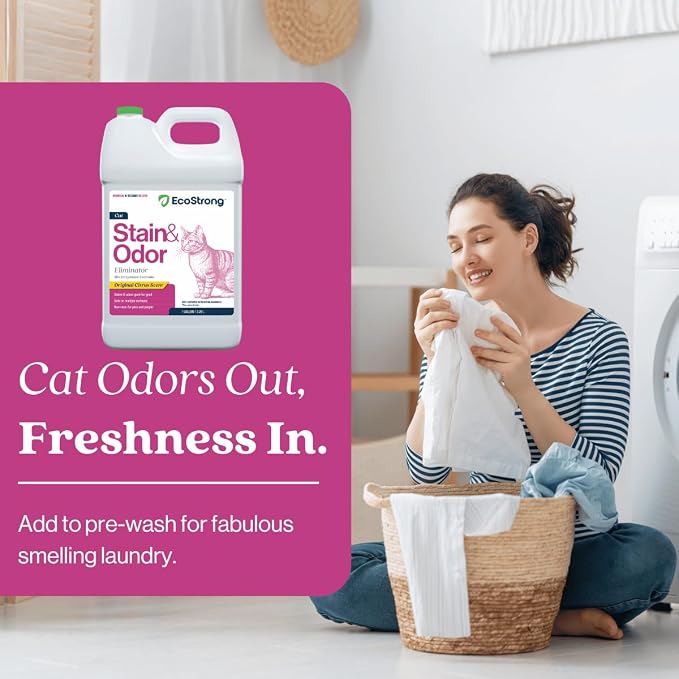 Eco Strong Cat Stain And Odor Remover| Enzyme Urine Odor Neutralizer - Stain Remover for Carpet, Litter Boxes, Bedding, and Laundry [Citrus Scent Gallon Value Size]