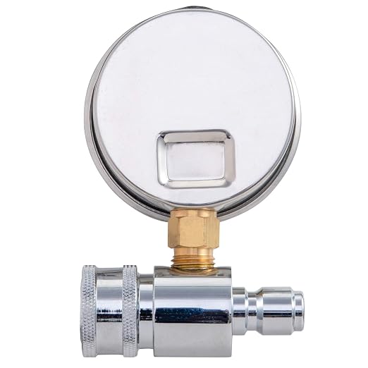 Raincovo Pressure Washer Gauge, 6000 PSI, 3/8 Inch Quick Connect | Pressure Gauge for Power Washer