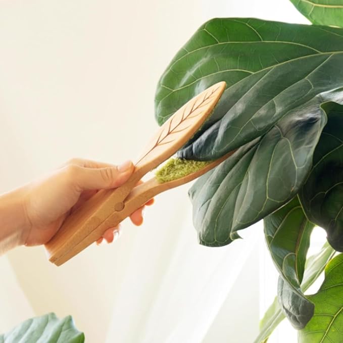 Leaf Cleaning Tongs, House Plant Leaf Cleaning Tongs,Leaf Cleaning Tools With Removable (2PC)