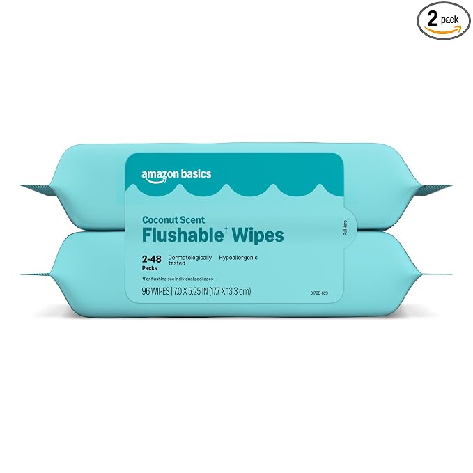 Amazon Basics Flushable Wipes, Coconut Scent, Hypoallergenic, Dermatologically Tested, 2 Packs of 48 (96 Count)