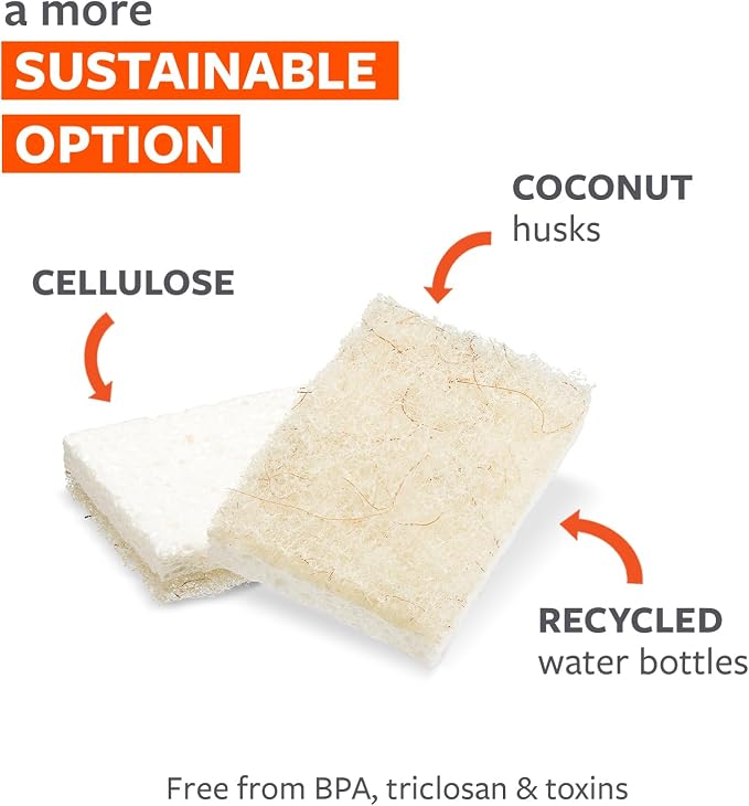 Full Circle Coconut Scrubber Sponges, Pack of 2 – Dual-Sided, Plant-Based Sponges Made with Coconut Shells, Cellulose & Recycled Materials, Safe for Nonstick Cookware