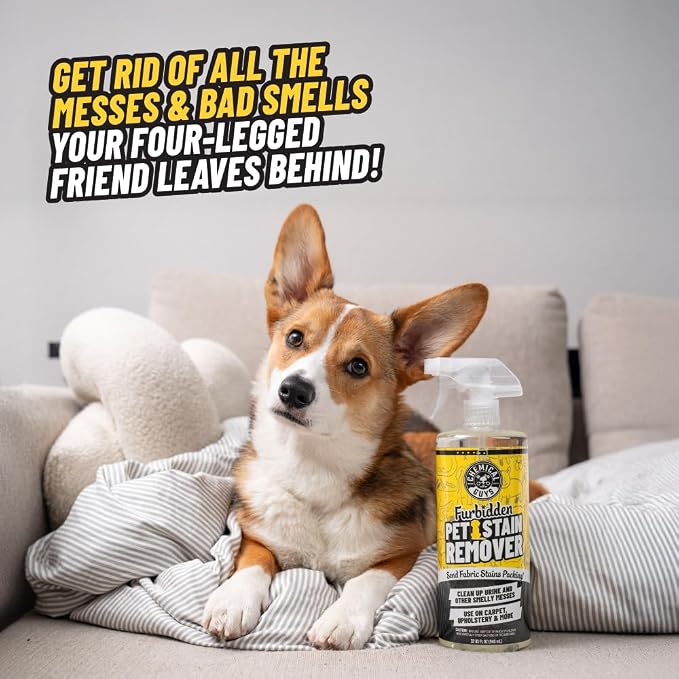 Chemical Guys, Furbidden Pet Stain & Odor Cleaner for Carpet & Seats, 32 oz | Lifts pet stains from urine and vomit and neutralizes odors on carpet, upholstery and fabric, multi-surface