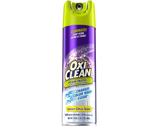 OxiClean Foam-Tastic Bathroom Cleaner 19oz. (2-Pack)