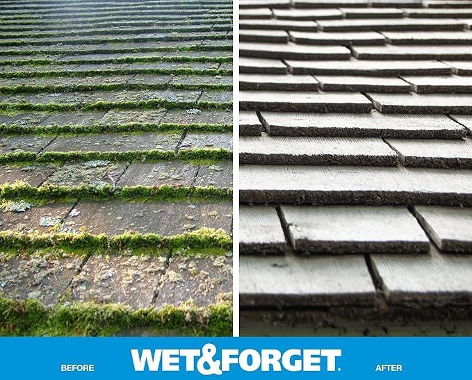 Wet & Forget Outdoor Moss, Mold, Mildew, & Algae Stain Remover Multi-Surface Cleaner, Xtreme Reach Hose End with New & Improved Nozzle, 48 Fluid Ounces
