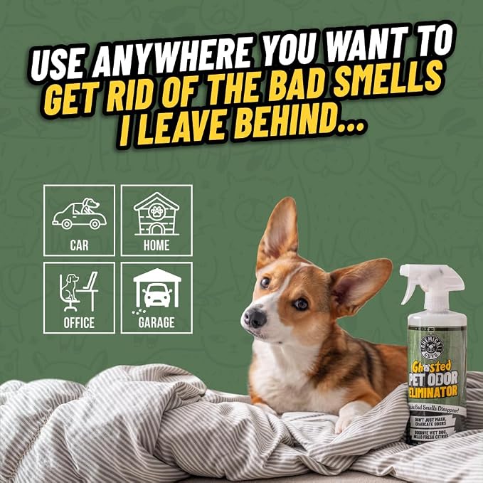 Chemical Guys, Ghosted Pet Odor Neutralizer Spray, Citrus Scent, 32 fl oz | Citrus spray neutralizes pet odors deep in carpet, upholstery and fabric seats, fresh for cars and home