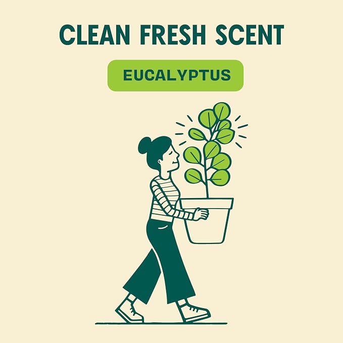 Aunt Fannie's All Purpose Vinegar Cleaner Spray, Eucalyptus, Pack of 6 | Cuts Grease & Grime, No Harsh Residue, Safe for Kitchens Bathrooms Windows Counters & Sealed Areas, Kid and Pet Safe