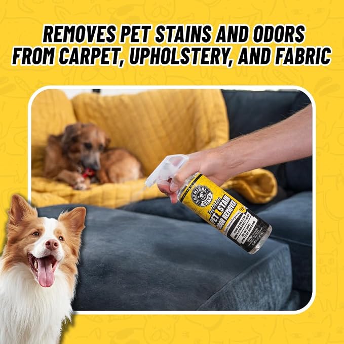 Chemical Guys, Pet Mess Cleaning Kit, Furbidden Cleaner & Interior Brush