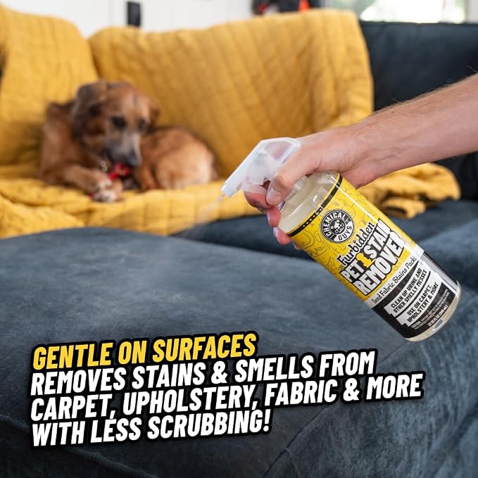 Chemical Guys, Furbidden Pet Stain & Odor Cleaner for Carpet & Seats, 16 oz | Lifts pet stains from urine and vomit and neutralizes odors on carpet, upholstery and fabric, multi-surface