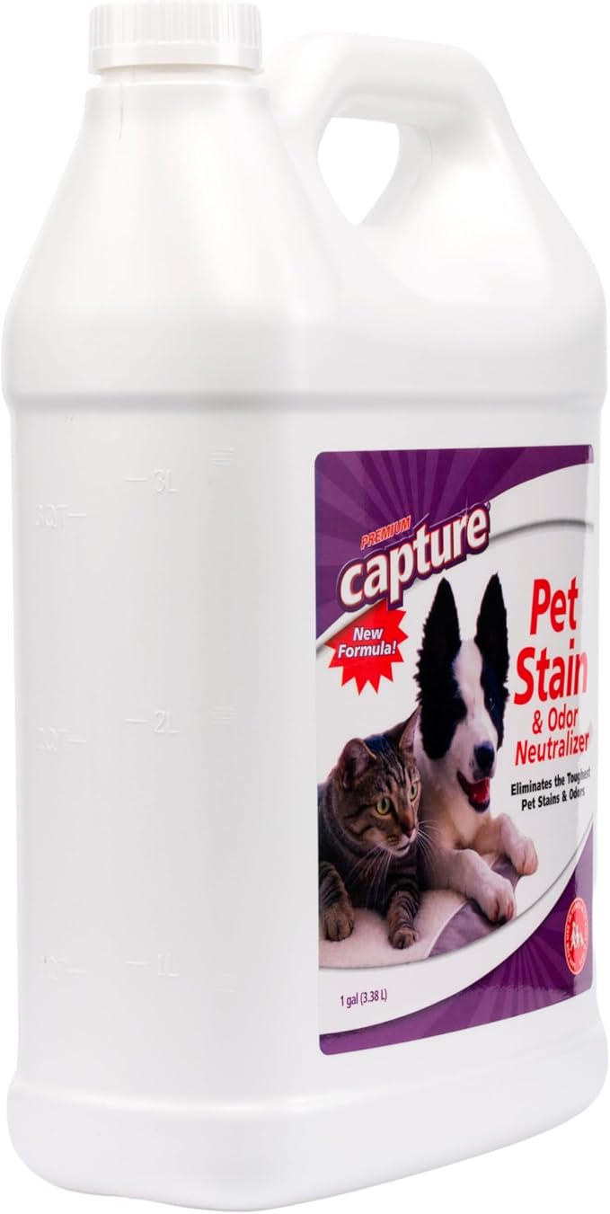 Capture Pet Stain & Odor Remover - Enzyme Pet Odor Eliminator for Home, Carpet Stain Remover for Cats & Dog Pee, Cat Urine Destroyer, Carpet Cleaner Spray - 1 Gallon
