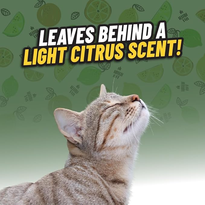 Chemical Guys, Ghosted Pet Odor Neutralizer Car Spray, Fresh Citrus, 16 oz | Citrus spray neutralizes pet odors deep in carpet, upholstery and fabric seats, fresh for cars and home