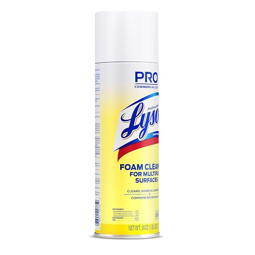 Lysol Professional Foam Cleaner for Multiple Surfaces, 24 Ounce