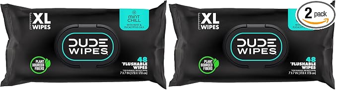 DUDE Wipes, 48 Wipes, 2 Pack | Flushable | Mint Chill | Extra-Large | Eucalyptus & Tea Tree Oil