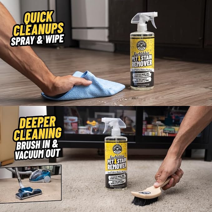 Chemical Guys, Furbidden Pet Stain & Odor Cleaner for Carpet & Seats, 16 oz | Lifts pet stains from urine and vomit and neutralizes odors on carpet, upholstery and fabric, multi-surface