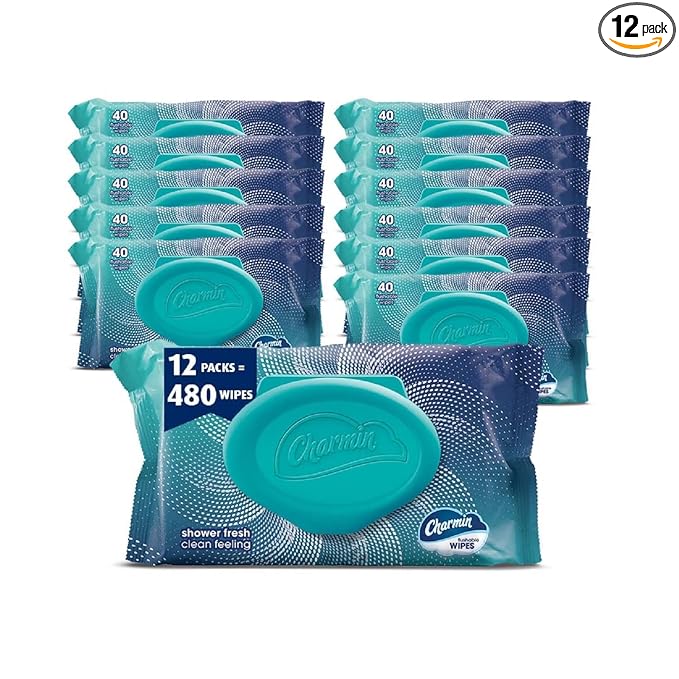 Charmin Flushable Wipes, 480 Total Wipes (12 Packs of 40)