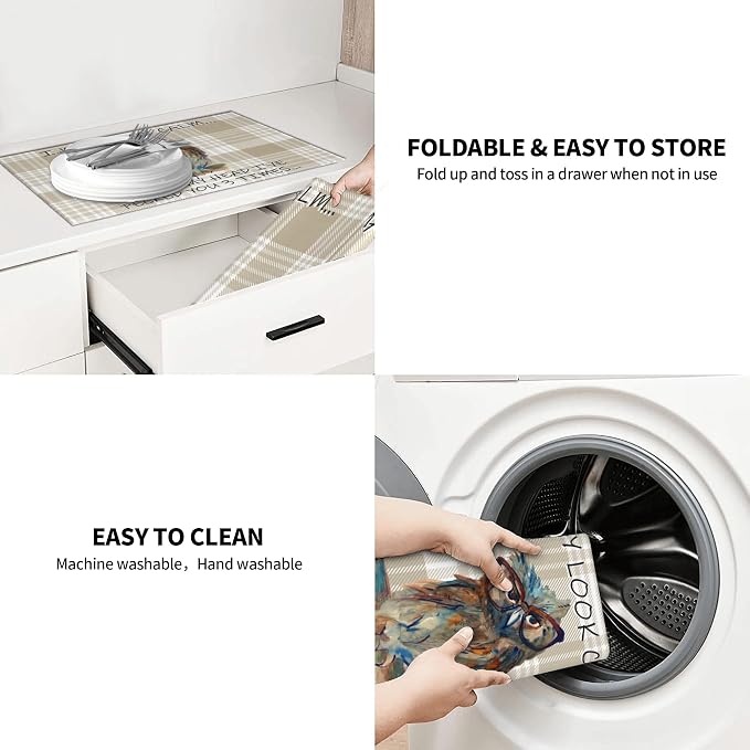 Kitchen Drying Mat Funny Owl Dish Drainer Mat for Kitchen Counter Microfiber Absorbent Reusable Washable 18x24 Inch Home Holiday Decor Cute Buffalo Plaid Drying Pad