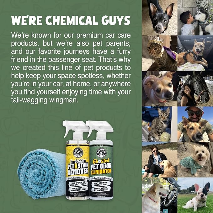 Chemical Guys, Ghosted Pet Odor Neutralizer Car Spray, Fresh Citrus, 16 oz | Citrus spray neutralizes pet odors deep in carpet, upholstery and fabric seats, fresh for cars and home