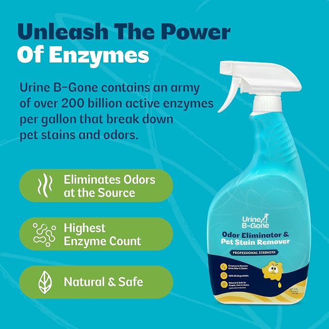 Urine B-Gone, Professional Enzyme Odor Eliminator & Pet Stain Remover, Human, Cat & Dog Urine Cleaner, Effective on Laundry, Carpets & More, Original Scent, 32oz