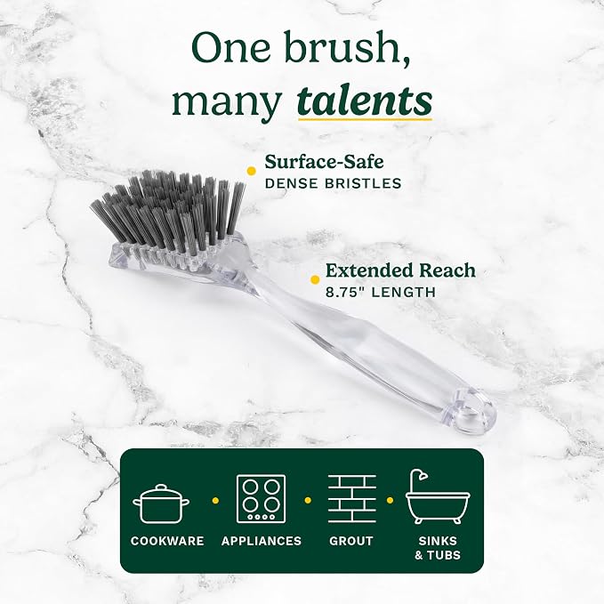 Cuisinart Dish Brush with Handle, 2 Pack, Firm Bristles | Multi-purpose dish scrubber for plates, pots, and pans, deep cleaning removes grease, safe for nonstick, built-in scraper